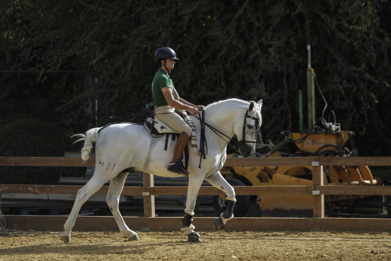 La muestra recibió este sábado mucho público, que disfrutó de la belleza de los caballos de pura raza española 