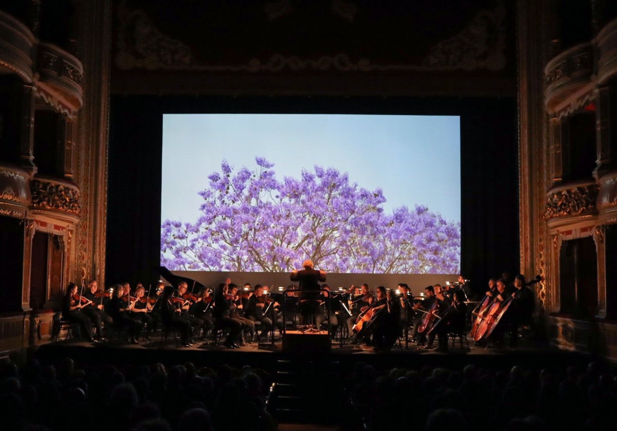 La Real Orquesta Sinfónica de Sevilla durante el concierto