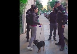 Multas y normativa por no limpiar los excrementos y el orín de los perros en la calle