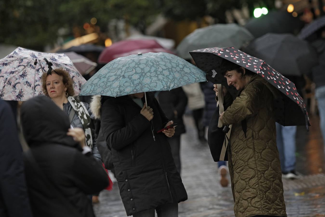 Imágenes que ha dejado la lluvia en el centro de la ciudad