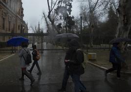 Sevilla cierra los parques de la ciudad por el temporal