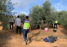Diez detenidos, en su mayoría rumanos, por trata de seres humanos en tareas agrícolas en Sevilla