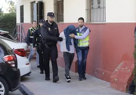 Crimen machista de Dos Hermanas: envían a prisión al hombre que apuñaló a su mujer en Montequinto