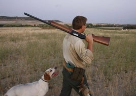 La Junta cierra el coto de caza de Aznalcóllar por seis meses al hallarse animales envenenados