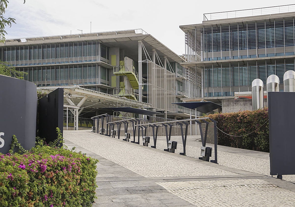 Acceso principal a la futura Ciudad de la Justicia en Palmas Altas