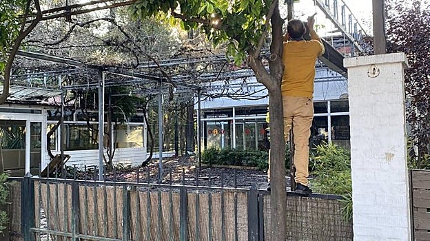 Las seis noticias que debes conocer hoy, miércoles 11 de enero de 2023