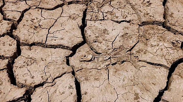 Las seis noticias que debes conocer hoy, miércoles 11 de enero de 2023