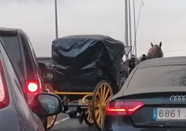 Un caballo desbocado provoca el caos y un corte de tráfico en Sevilla