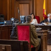 El TSJA confirma los 20 años de cárcel para el sevillano que asesinó a su suegra en un piso del Centro