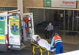 La mortalidad hospitalaria de pacientes no Covid en Sevilla creció más del 27% en la primera ola de la pandemia