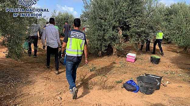 Imagen de archivo de la Policía en el registro de una explotación agrícola