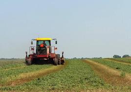 Cuándo podrá solicitarse la nueva ayuda para sufragar el precio del gasóleo consumido por productores agrarios