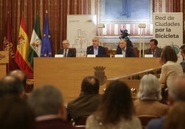 El alcalde de Sevilla anuncia la construcción de 15,4 kilómetros nuevos de carriles bici