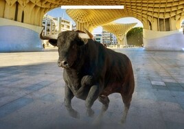 El toro bravo le escribe un romance a la Maestranza: «Se me impacienta un solo sueño, Sevilla»