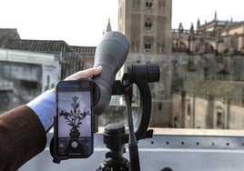 La  Giralda  de Sevilla como nunca la habías visto