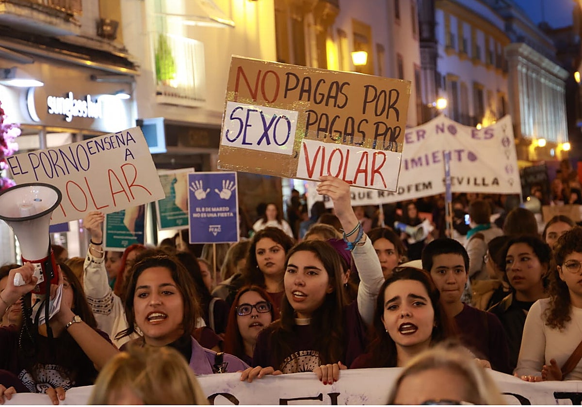 Manifestantes de la marcha que partió a las siete y media de la tarde de la Plaza Nueva, convocada por el movimiento feminista