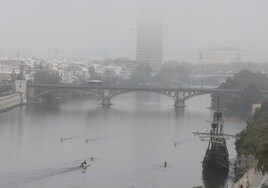 El tiempo en Sevilla: mañana de niebla, tarde de paseo (calurosa)
