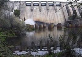 Los pantanos sevillanos bajan al 42%, ocho puntos menos que hace un año