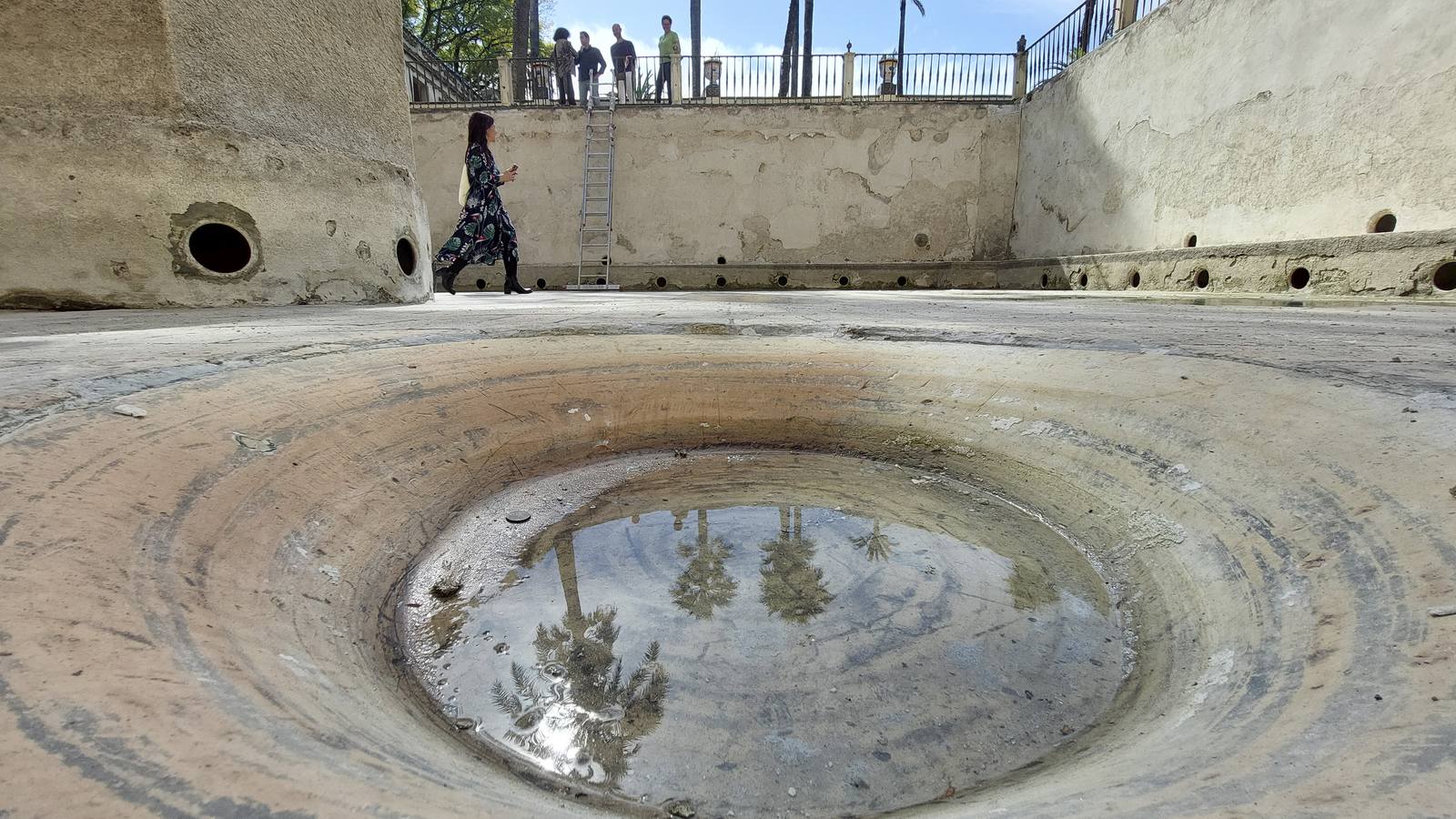 Imágenes de la fuente del Alcázar y los numerosos detalles que han salido a la luz