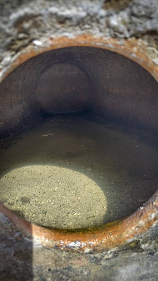 Imágenes de la fuente del Alcázar y los numerosos detalles que han salido a la luz