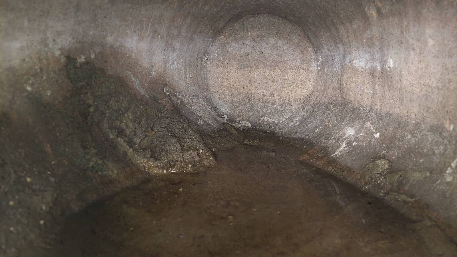 Imágenes de la fuente del Alcázar y los numerosos detalles que han salido a la luz