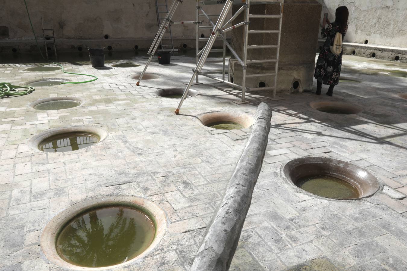 Imágenes de la fuente del Alcázar y los numerosos detalles que han salido a la luz