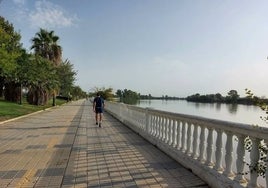 Hallan un cadáver en el río Guadalquivir a su paso por Coria del Río