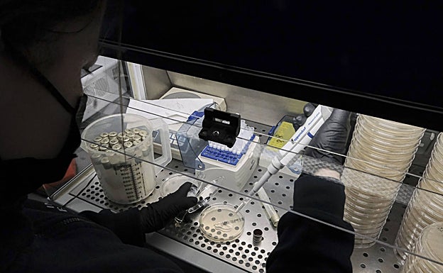 Desde su laboratorio en Hijos se formulan las cremas y lociones