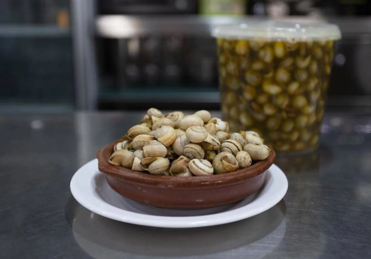 Ya hay caracoles en los bares de Sevilla, pero ¿cuál es la fecha ideal para comerlos?