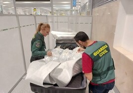 Interceptan en el aeropuerto de Sevilla 13 kilos de angulas vivas por valor de 90.000 euros