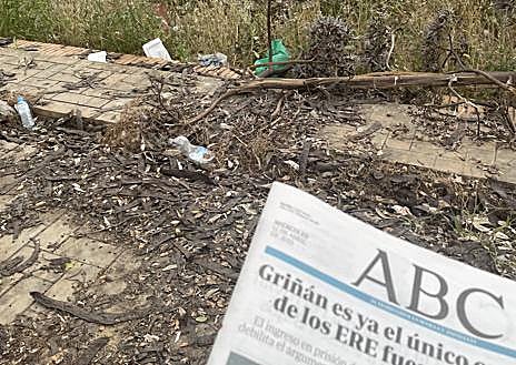 Imagen secundaria 1 - Basuras en la Isla de la Cartuja. Las fotos fueron tomadas el lunes, miércoles y viernes de la semana pasada. Lipasam no pasa por aquí