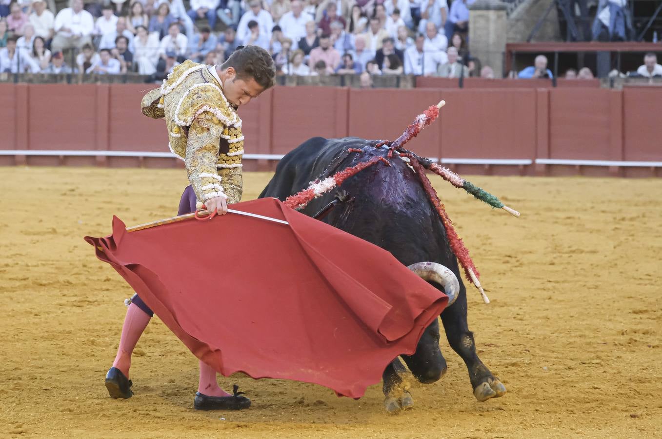 Calerito, en la corrida del dieciséis de abril de 2023 en la Plaza de Toros de Sevilla 