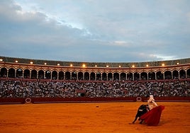 Guía para ver los toros en la Maestranza de Sevilla