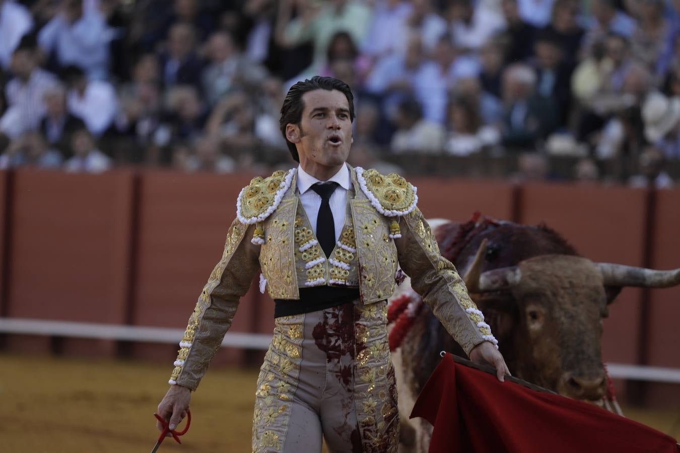 José Garrido, en un momento de su actuación este miércoles en la Maestranza