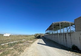 Denuncian al Ayuntamiento de Albaida por una construcción «ilegal» sobre terrenos protegidos en la cornisa del Aljarafe