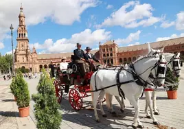 En imágenes, Sevilla tomada por coches de caballo clásicos