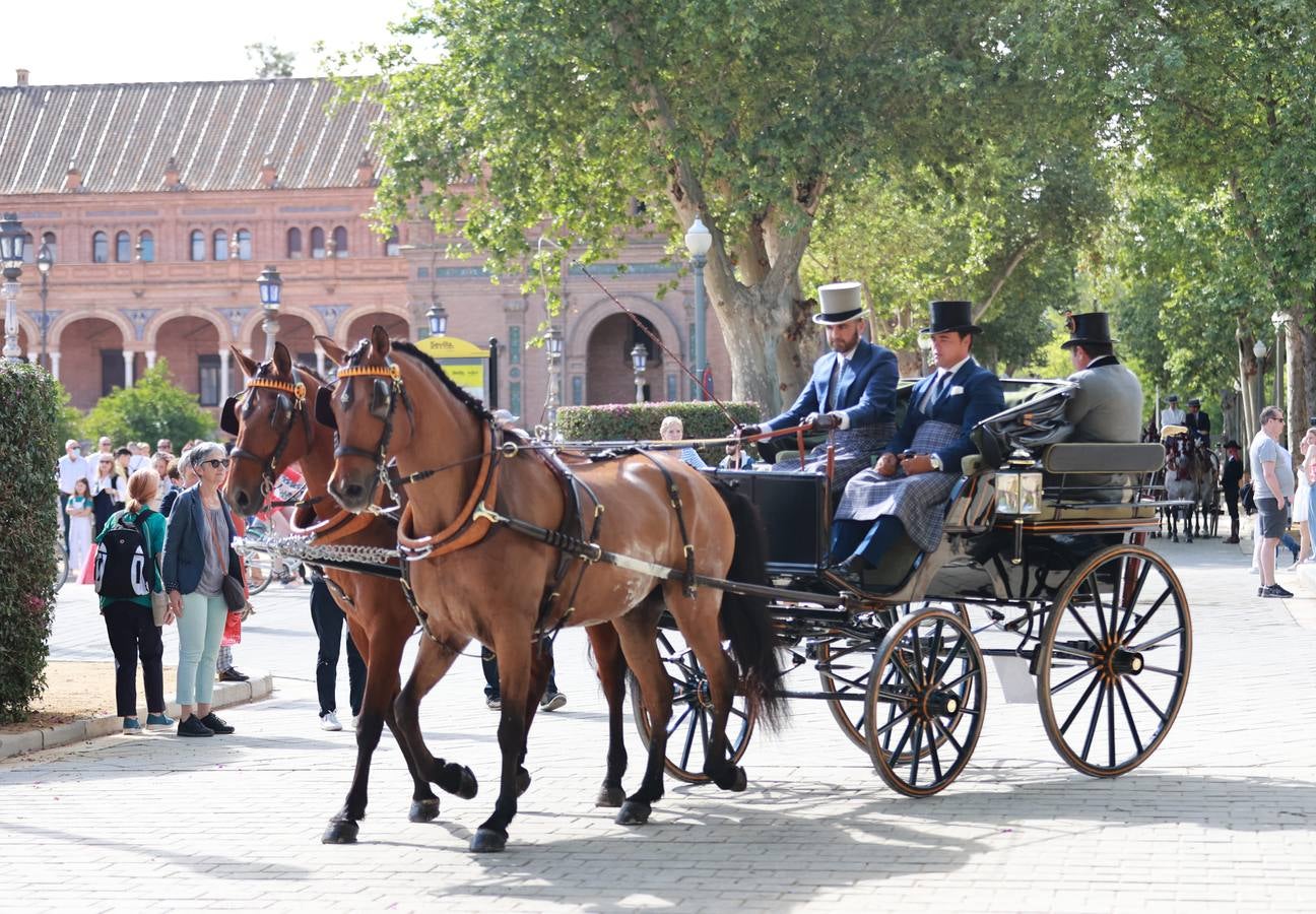 Participantes en el XI Campeonato Internacional de Enganches de Tradición (CIAT) y la Copa de Naciones, en la Plaza de España