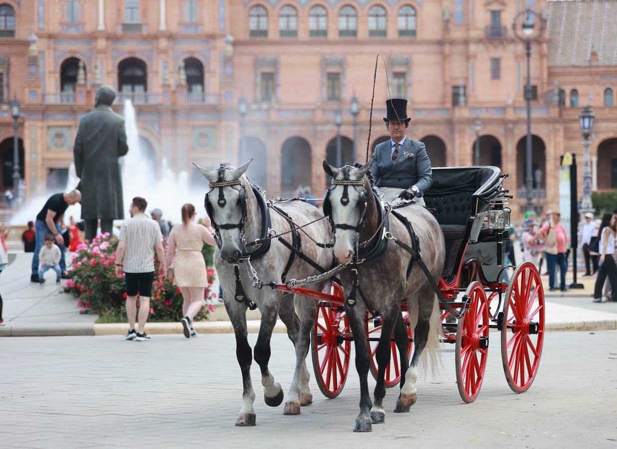 Participantes en el XI Campeonato Internacional de Enganches de Tradición (CIAT) y la Copa de Naciones, en la Plaza de España