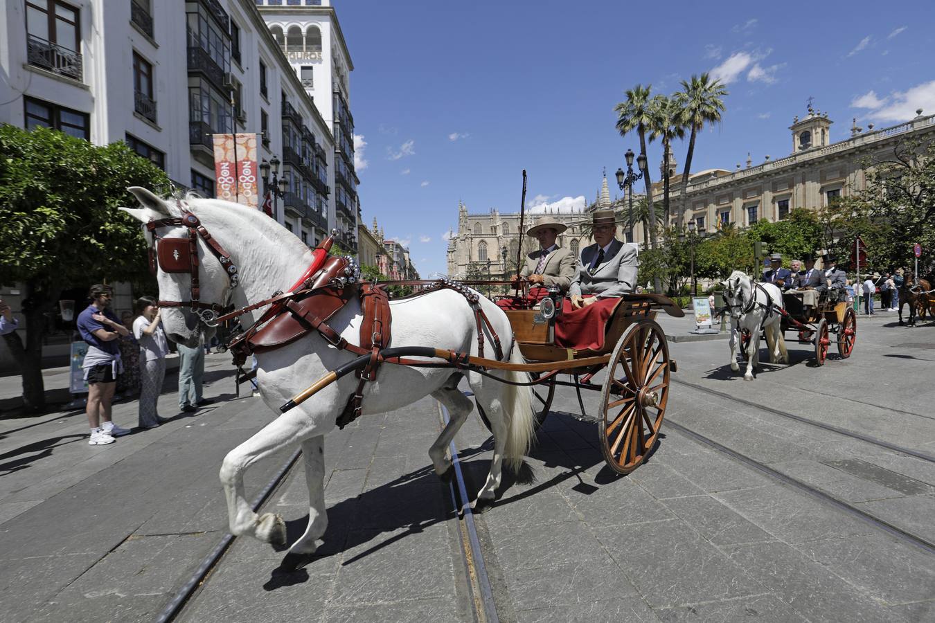 Participantes en el XI Campeonato Internacional de Enganches de Tradición (CIAT) y la Copa de Naciones, en la Plaza de España