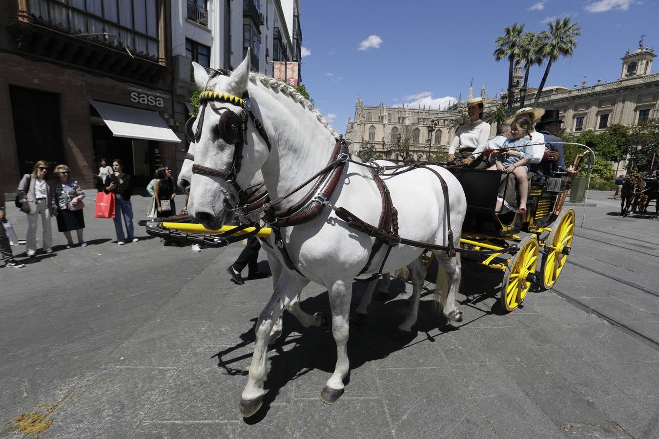 Participantes en el XI Campeonato Internacional de Enganches de Tradición (CIAT) y la Copa de Naciones, en la Plaza de España