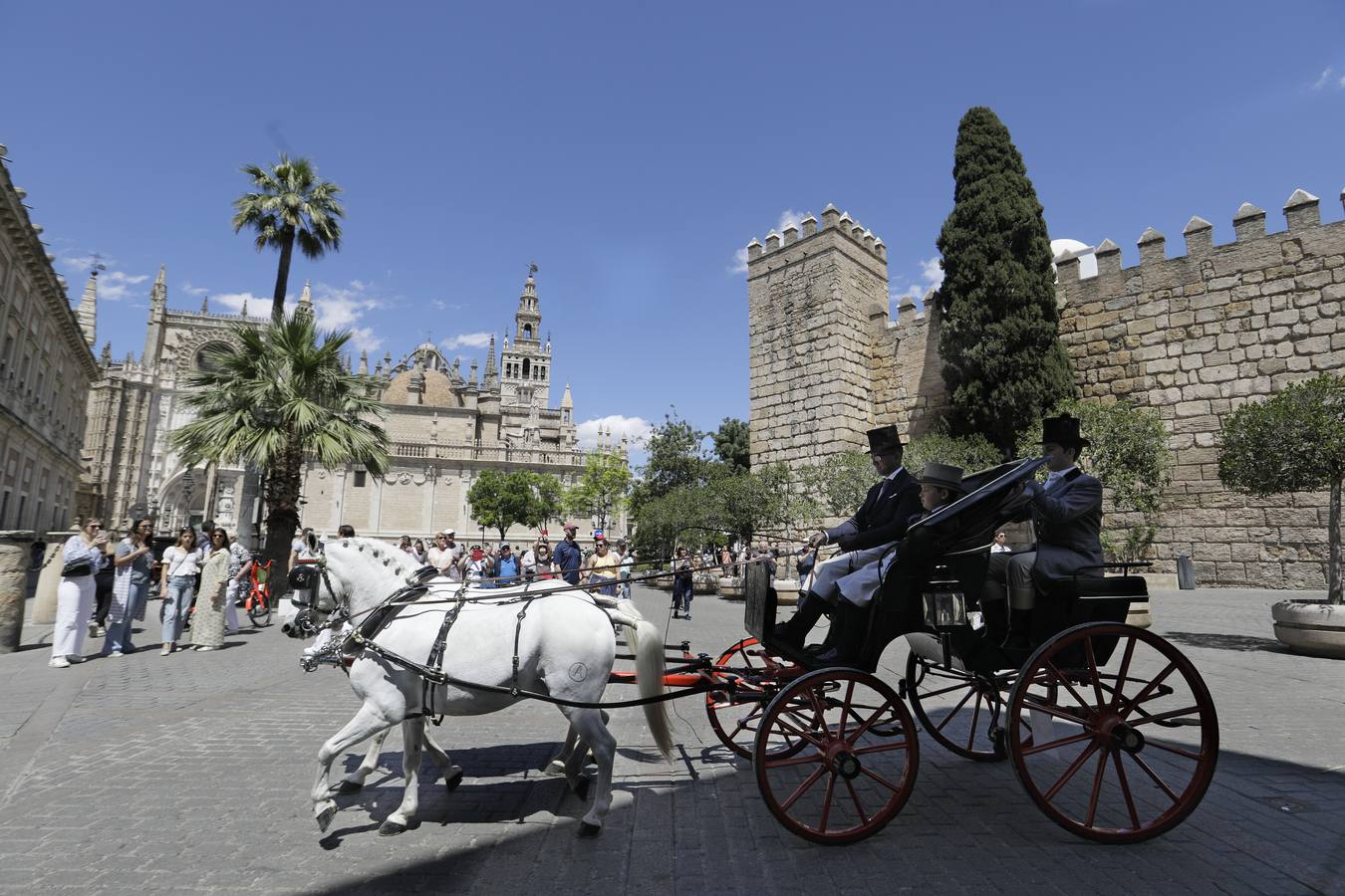Participantes en el XI Campeonato Internacional de Enganches de Tradición (CIAT) y la Copa de Naciones, en la Plaza de España
