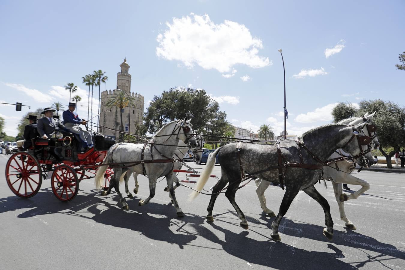 Participantes en el XI Campeonato Internacional de Enganches de Tradición (CIAT) y la Copa de Naciones, en la Plaza de España