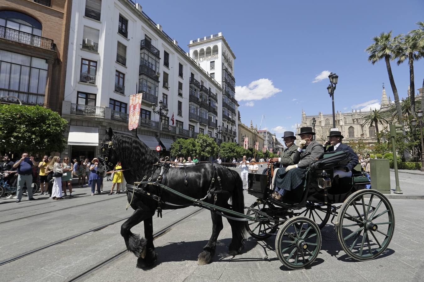 Participantes en el XI Campeonato Internacional de Enganches de Tradición (CIAT) y la Copa de Naciones, en la Plaza de España