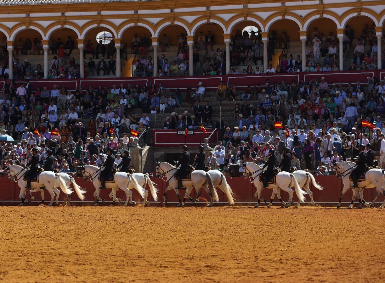 Exhibición de Enganches de 2023 en la Real Maestranza de Caballería de Sevilla
