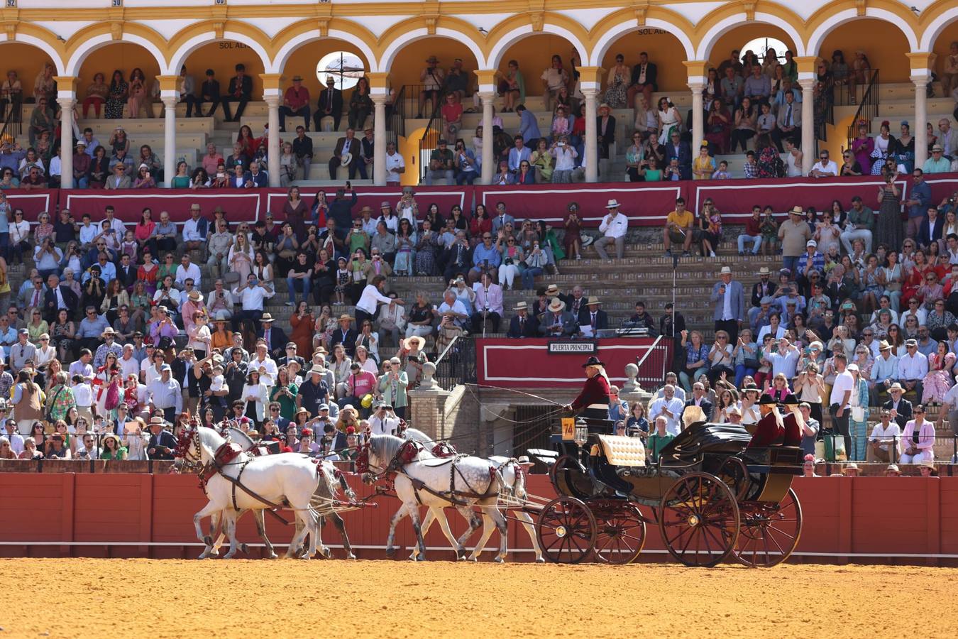 Exhibición de Enganches de 2023 en la Real Maestranza de Caballería de Sevilla