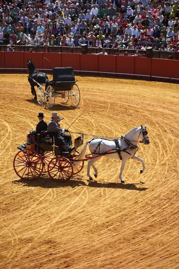 Exhibición de Enganches de 2023 en la Real Maestranza de Caballería de Sevilla