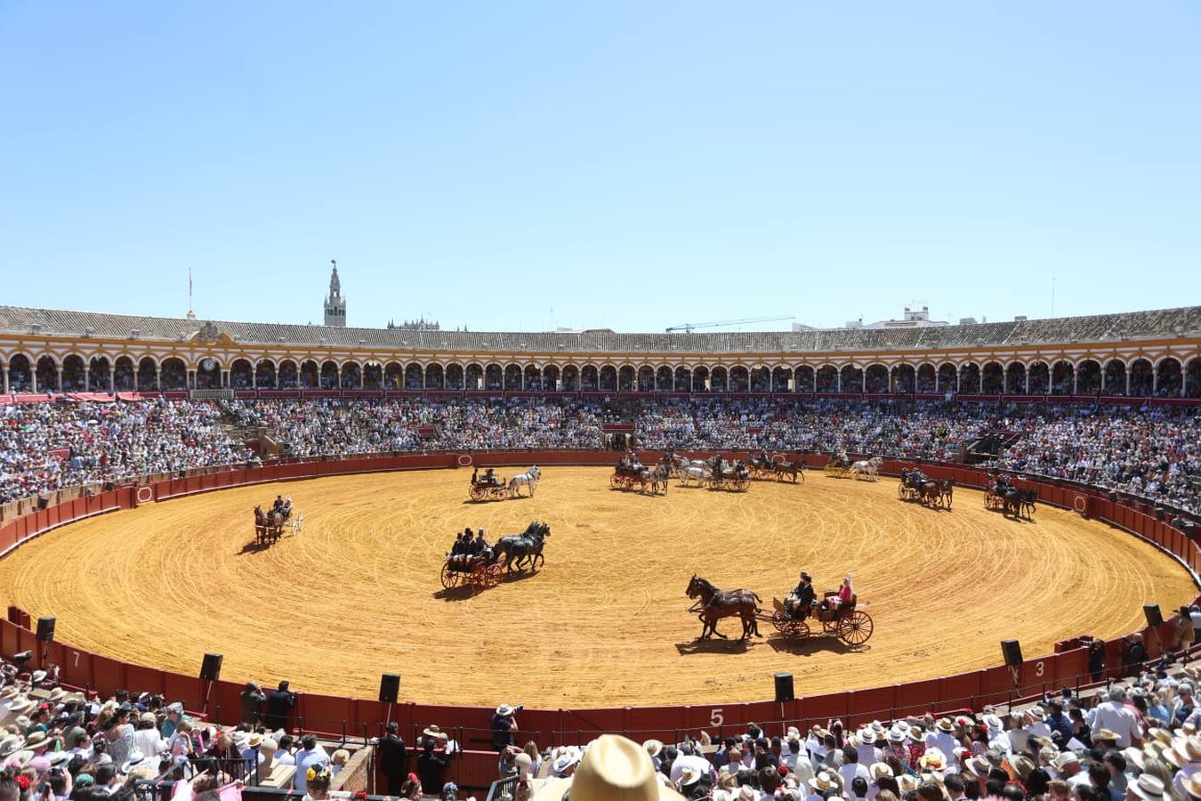 Exhibición de Enganches de 2023 en la Real Maestranza de Caballería de Sevilla