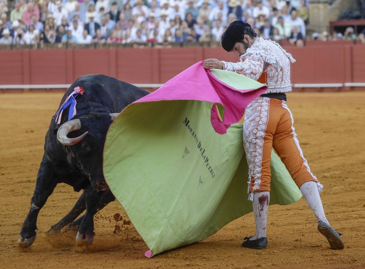 Faena de Morante de la Puebla, en la plaza de toros de Sevilla