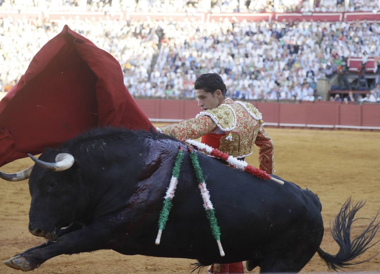 Faena de Alejandro Talavante, este martes en la Maestranza
