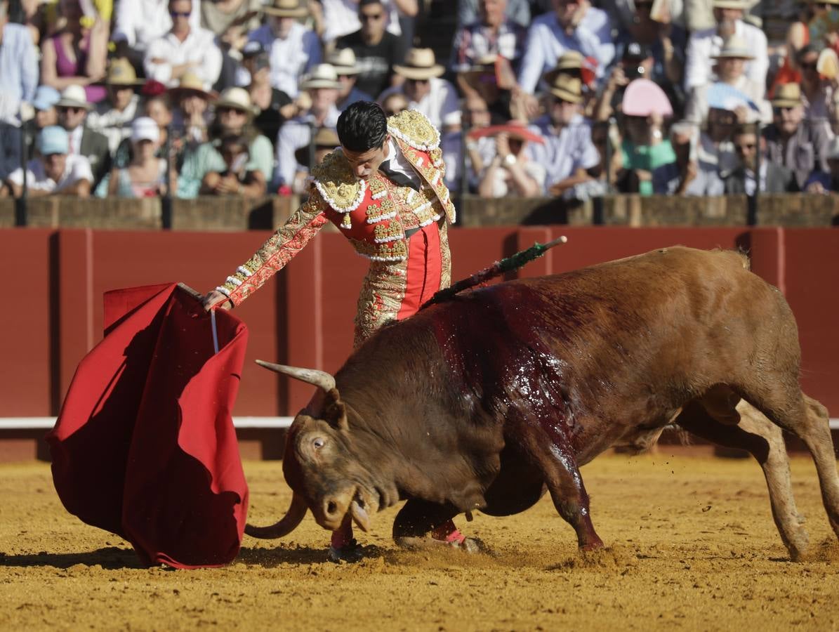 Faena de Alejandro Talavante, este martes en la Maestranza
